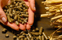 free Furtho biomass boiler quotes